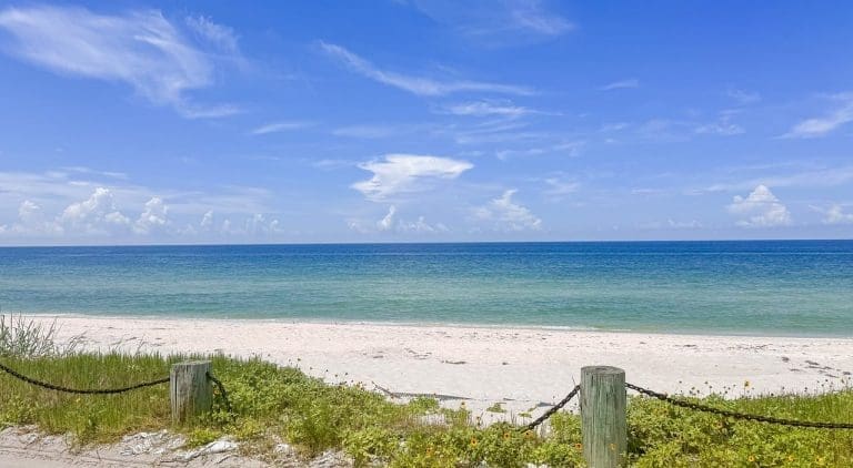 A beach in Sarasota, FL