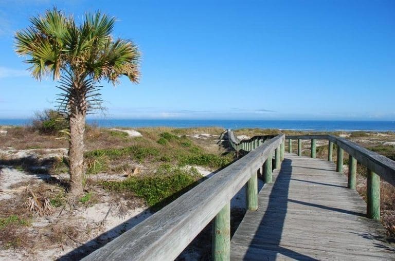 A wooden walkway leading to Hanna Park in Jacksonville, FL